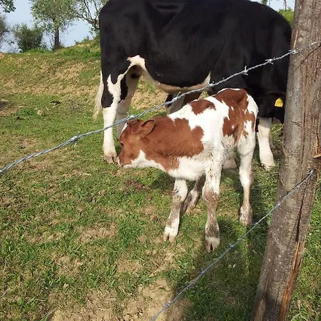 Alloggio per agriturismo Il Picchio
