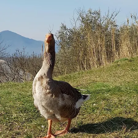 Il Picchio Alloggio per agriturismo Licciana Nardi
